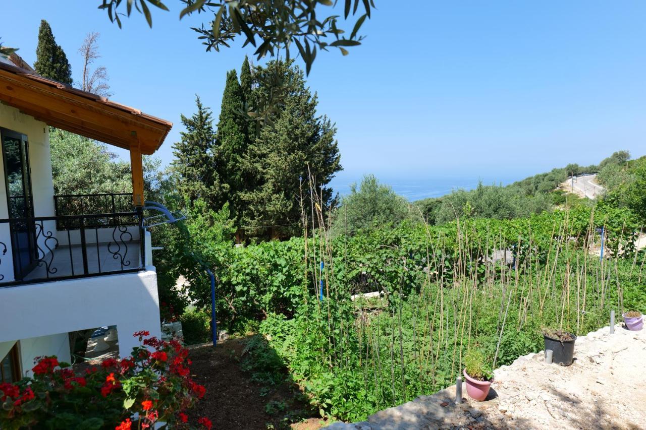 Vila Panorama Piqeras Bed and Breakfast Exteriör bild